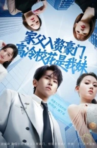 家父入赘豪门，高冷校花是我妹