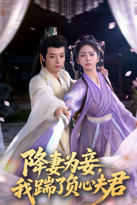 降妻为妾,我踹了负心夫君