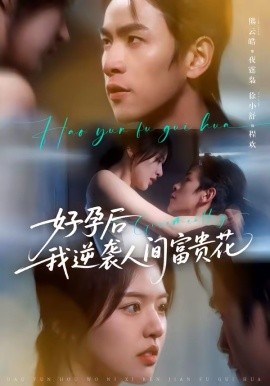 夜先生的小欢喜 好孕后我逆袭人间富贵花