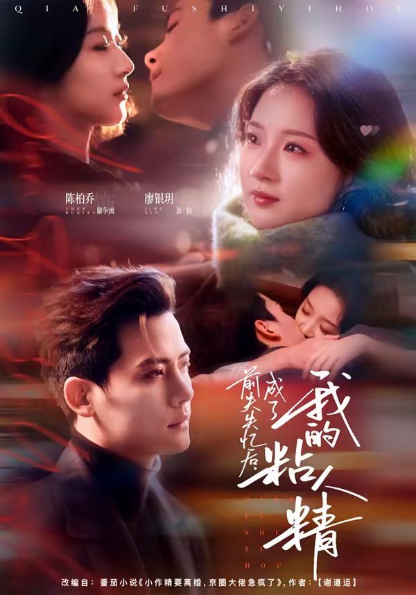 前夫失忆后,成了我的粘人精