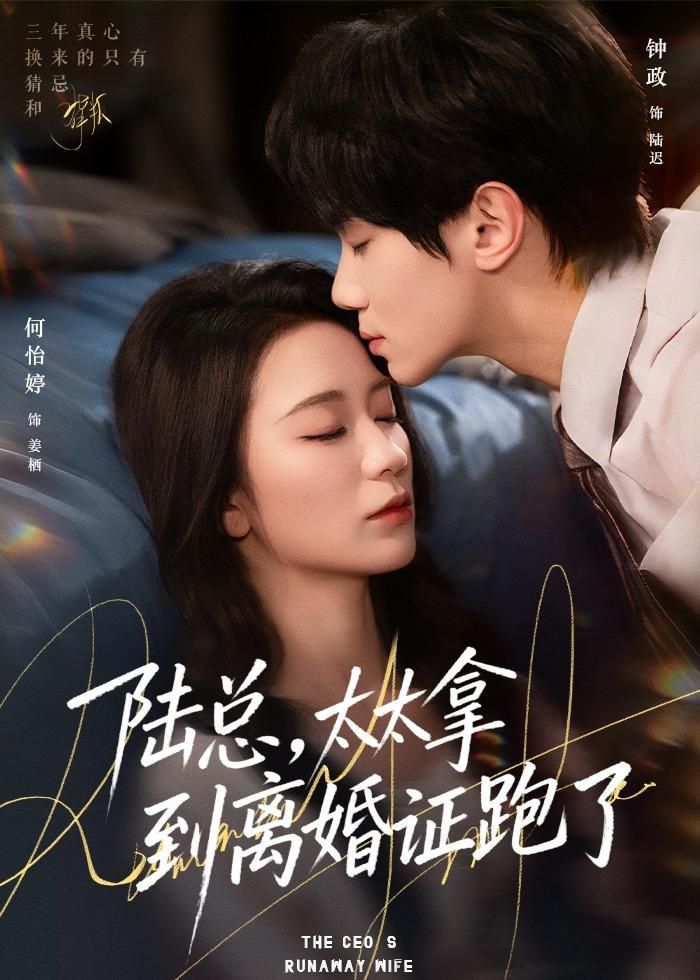 陆总,太太拿到离婚证跑了