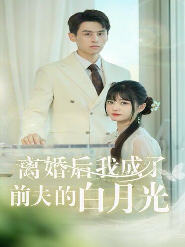 离婚后我成了前夫的白月光(总裁前夫太难缠)