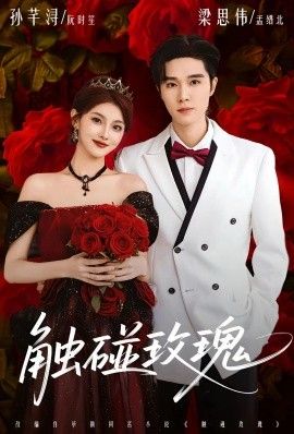 触碰玫瑰(凌晨四点半,玫瑰花未眠)