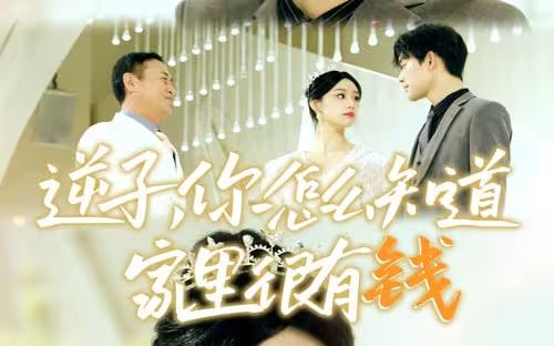 逆子,你怎么知道家里很有钱