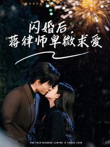 闪婚后蒋律师卑微求爱(闪婚后高冷律师疯狂宠)
