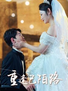 重逢已陌路(林千金她装不下去了)(她如月光碎向星夜)