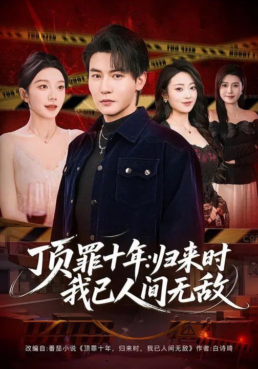 顶罪十年:归来时我已人间无敌