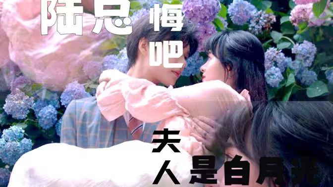 陆总忏悔吧,夫人才是白月光