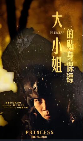 大小姐的贴身保镖(天命打工人)