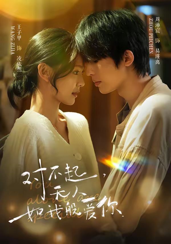 对不起,无人如我般爱你