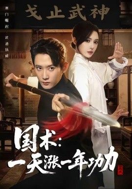 国术,一天涨一年功力
