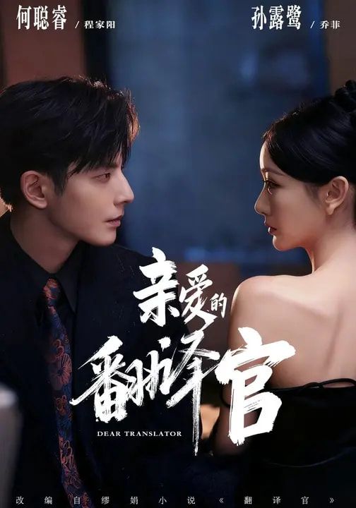 亲爱的翻译官(2026)