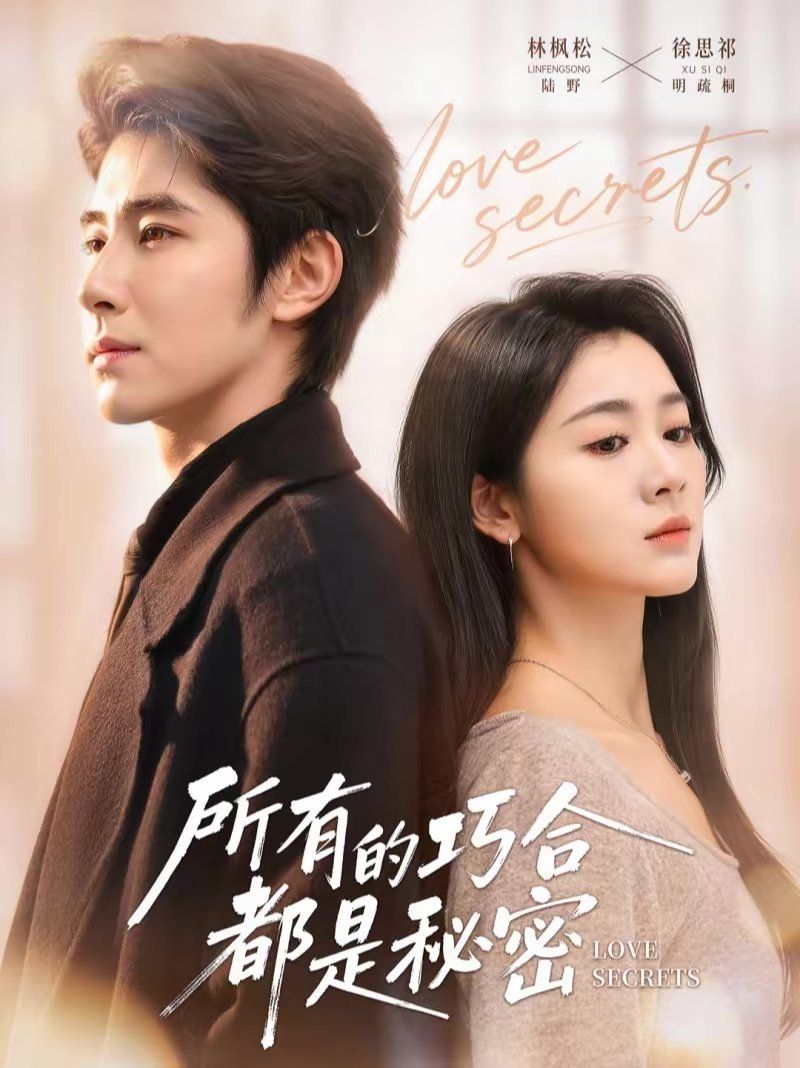 所有的巧合都是秘密(陆总夫人她只想离婚)