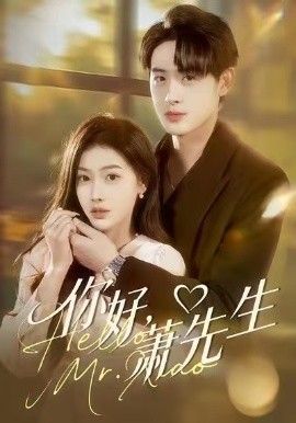 你好,萧先生