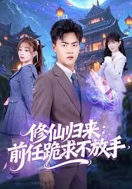 修仙归来:前任跪求不放手