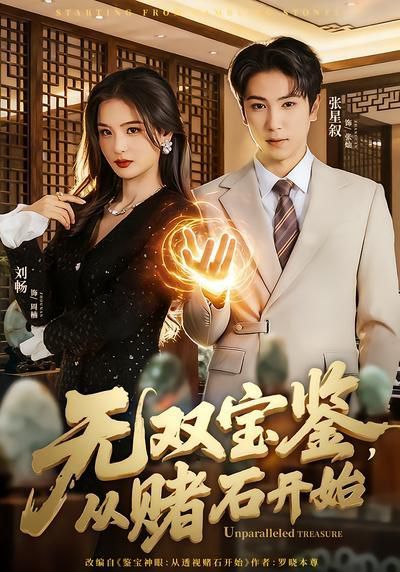 无双宝鉴,从赌石开始