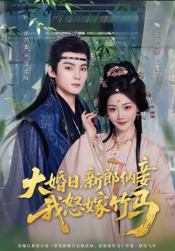 大婚日,新郎纳妾我怒嫁竹马