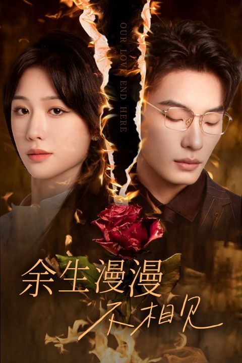 余生漫漫不相见(我们的爱到此为止)