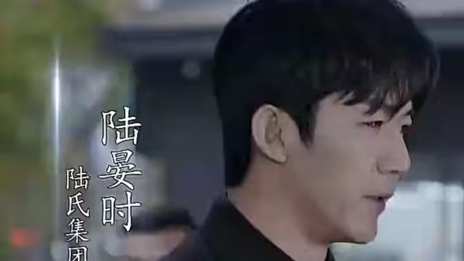 抢婚!陆总蓄谋已久