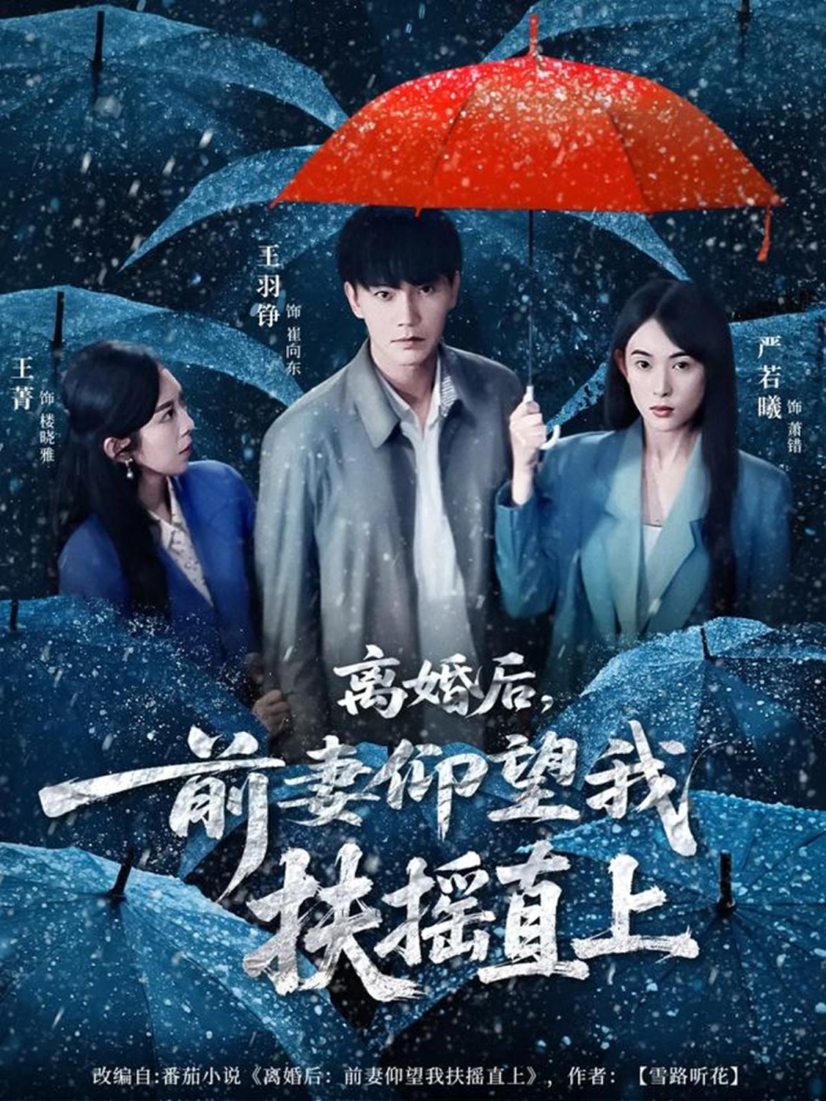 离婚后,前妻仰望我扶摇直上