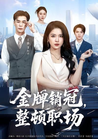 金牌销冠,整顿职场