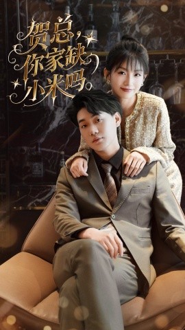 贺总,你家缺小米吗