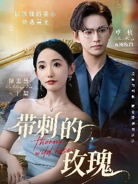 带刺的,玫瑰 带刺的野玫瑰