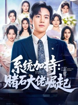 系统加持:赌石大佬崛起 少年赌神:从原石到顶流