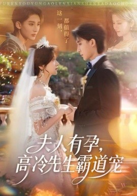 夫人有孕,高冷先生霸道宠