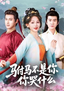 驸马不是你,你哭什么