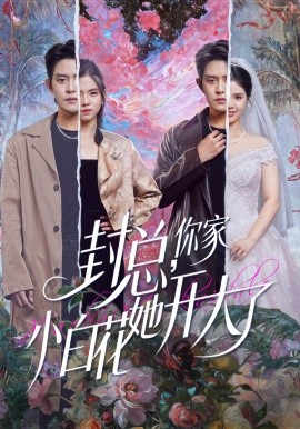 封总,你家小白花她开大了