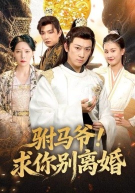 驸马爷!求你别离婚