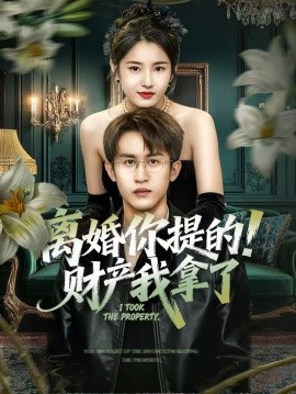 离婚你提的!财产我拿了