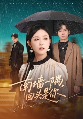 南墙一隅,回头是你