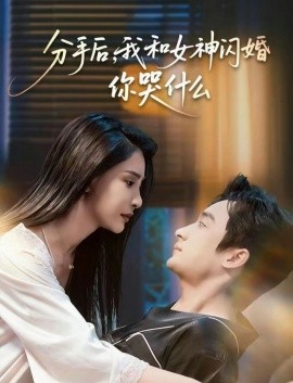 分手后,我和女神闪婚你哭什么 悲欢离合总无情