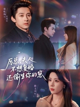 厉总,夫人不想复婚还偷生你的崽