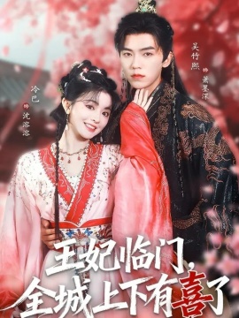 王妃临门全城上下有喜了