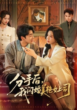 分手后,我闪婚美艳女上司