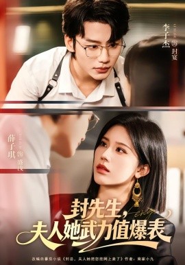 封先生,夫人她武力值爆表