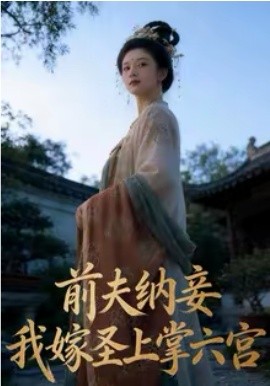 前夫纳妾,我嫁圣上掌六宫