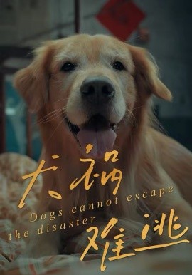 犬祸难逃
