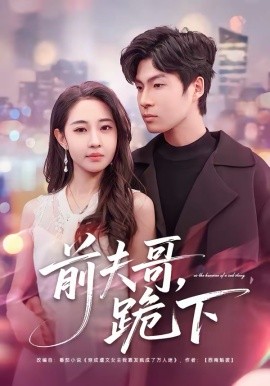前夫哥,跪下