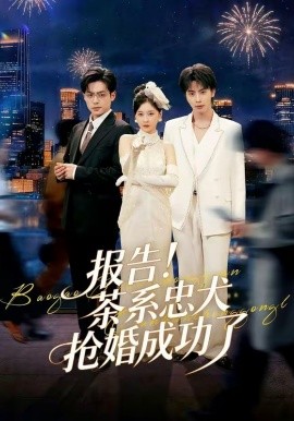 报告!茶系忠犬抢婚成功了