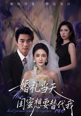 婚礼当天,闺蜜想要替代我