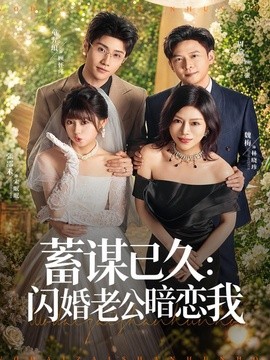 蓄谋已久:闪婚老公暗恋我